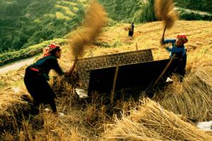 vietname's regions, Ha Giang, where should go, Ha Giang province, Ha Giang's culture