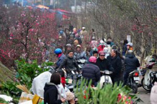 Ha Noi to ensure flower markets blossom during Tet festival