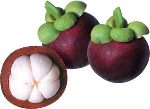 vietnamese fruits, vietnamese mangosteen, vietnam discovery