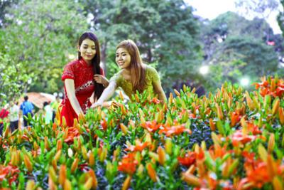 vietnam news, vietnamese TET, TET, vietnam discovery, vietnamese culture, Ho Chi Minh City, HCM city