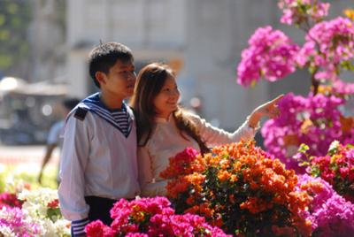 Tet flowers blossom in Ho Chi Minh city