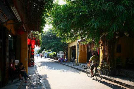 Green trees make Hoi An ever charming