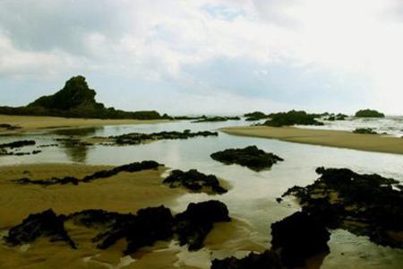 vietnam discovery, binh dinh province, Lo Dieu Rock Reef, vietnamese rock reef