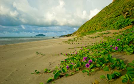 con dao island, con dao in photos, ba ria - vung tau province