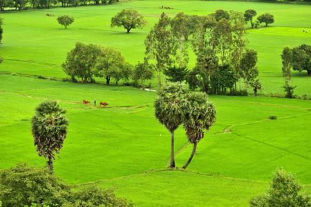 An Giang backpacking tourism