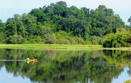 Discovering riddles of nature at Cat Tien National park