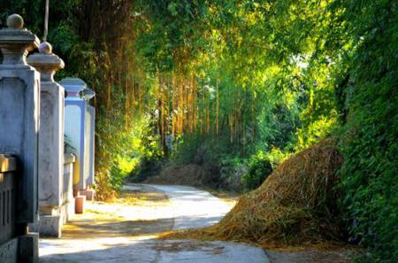 Countryside of Hoi An in Photos