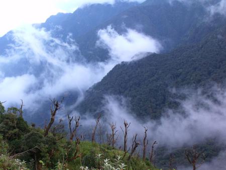 Hoang Lien Son national park