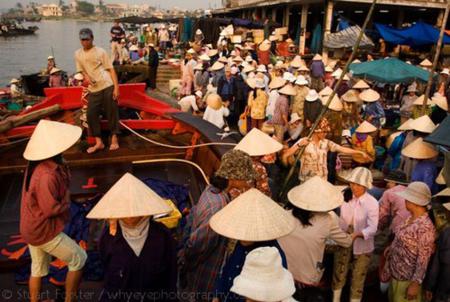 Hoi An fish port