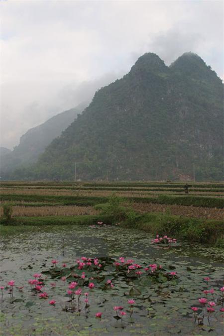 The attraction of Mai Chau lies in not only simple life but also scenic landscape