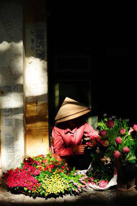 Beautiful bike-flower in Ha Noi