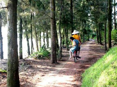 the romance road in Co To island