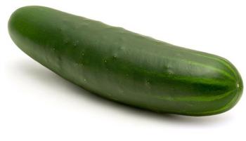 Cucumber-Dua-leo-dua-chuot