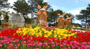 14 activities in Da Lat Flower Festival 2013