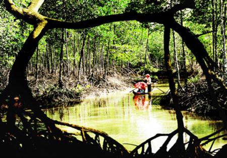 Mui Ca Mau National Park 2