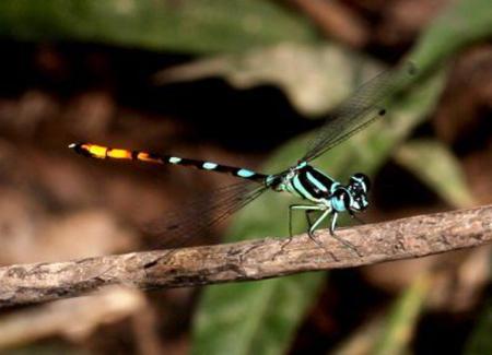 Phu Quoc National Park