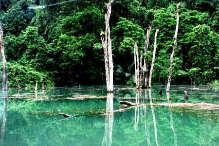 cuc phuong national park landscape