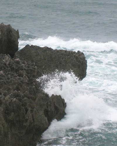 coral reefs by the sea in Ninh Thuan