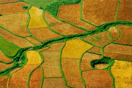 Beautiful of Vietnam’s Fields (part 1)