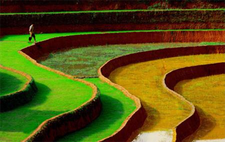 Beautiful of Vietnam’s Fields (part 3)