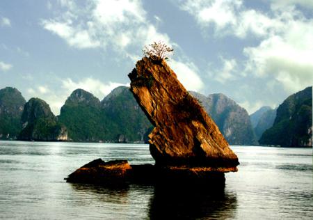 Bai Tu Long bay: gears up for peak summer season