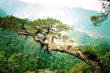 Pa Co-Hang Kia Nature Reserve in Hoa Binh province