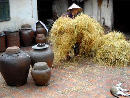 The peaceful of village in the North of Vietnam