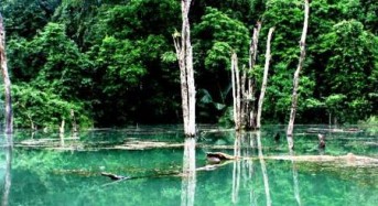 Cuc Phuong National Park – Where to relax and enjoy the life