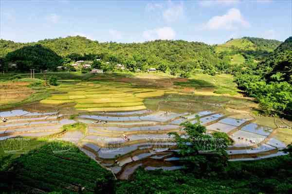 Visit Lung Van – The Roof of The Muong Area in Hoa Binh Province